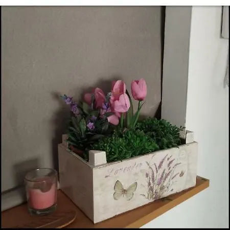Centrica - Only Women Homestay Alicante